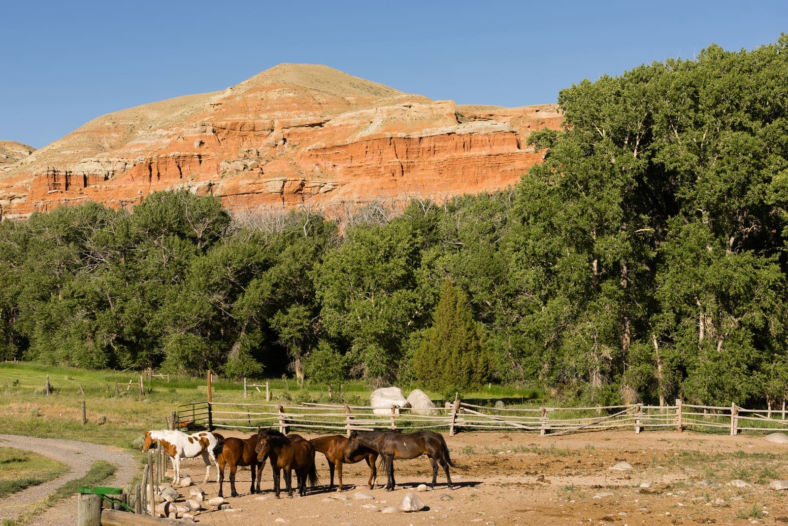 Cheyenne — where we build and run small business websites