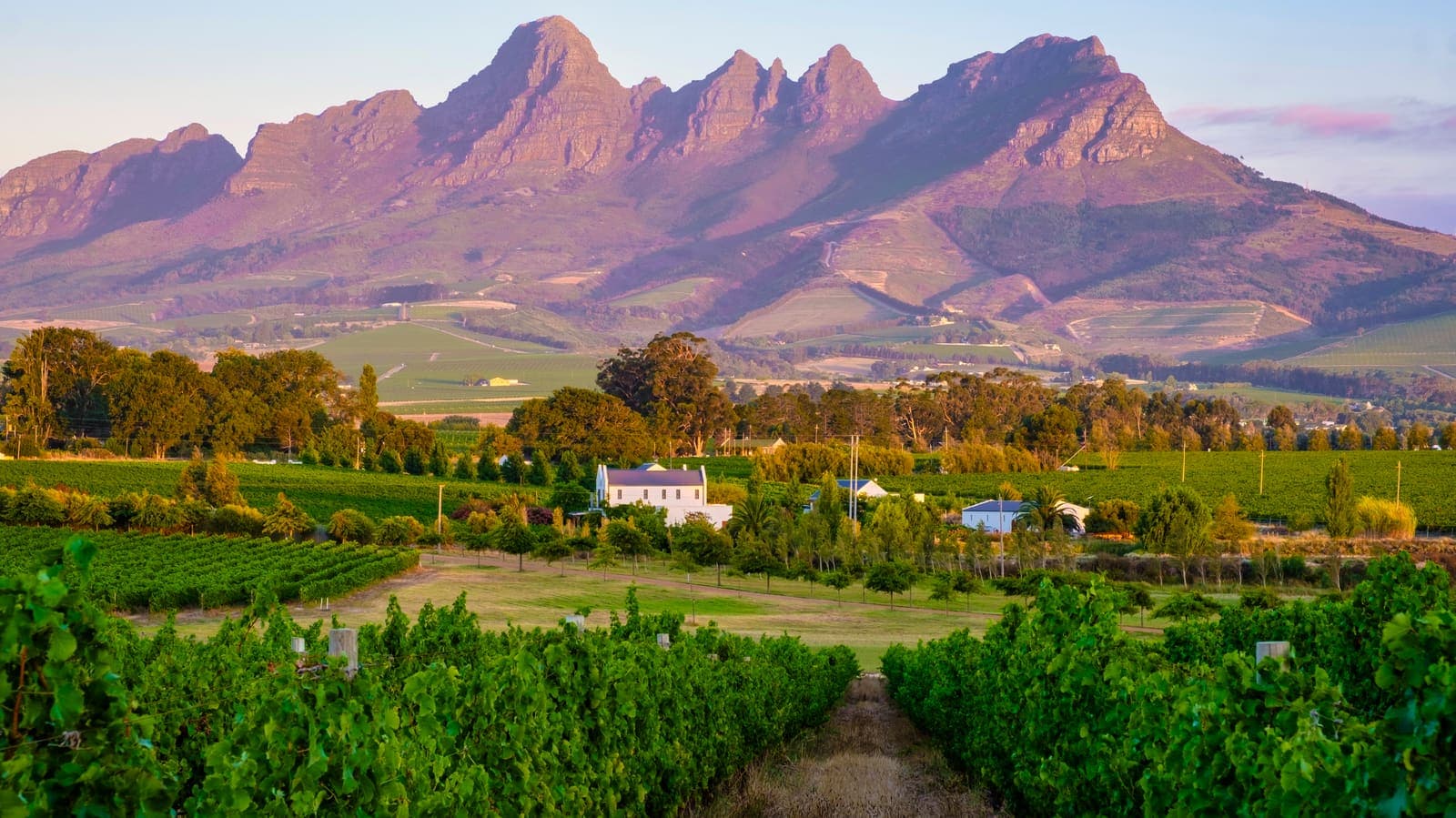 Stellenbosch — where we build and run small business websites