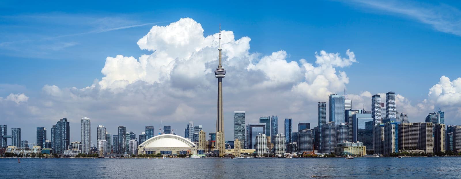 Toronto — where we build and run small business websites